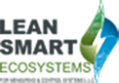 Lean Smart Ecosystems